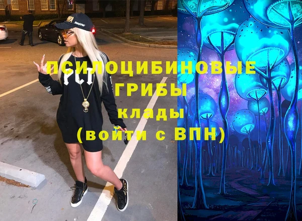ГАЛЛЮЦИНОГЕННЫЕ ГРИБЫ Абинск