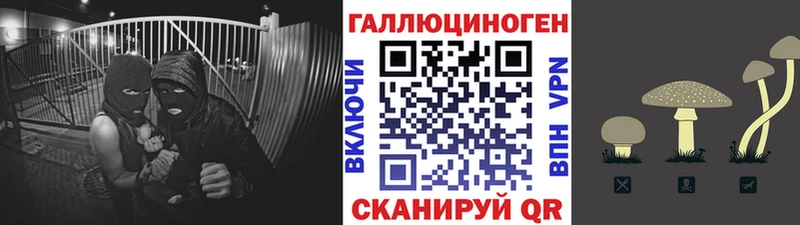 Галлюциногенные грибы ЛСД  Богородицк 
