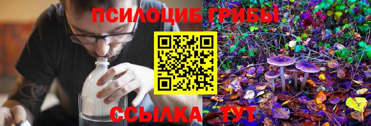 Галлюциногенные грибы Magic Shrooms Богородицк